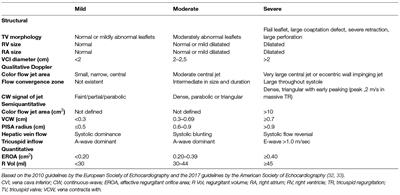 Tricuspid Regurgitation – Medical Management and Evolving Interventional Concepts